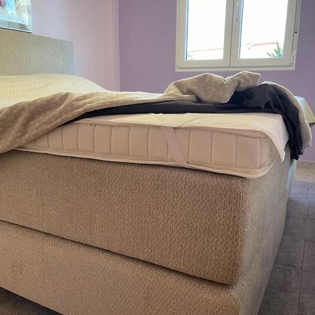 Appartement Blancosol In La Mata 또레비에하 외부 사진